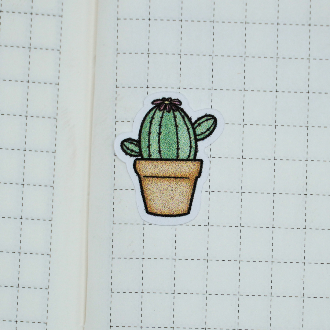 Cactus Doodles